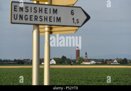 29 juin 2015 - Ungersheim, France : vue générale de Ungersheim, un petit village alsacien (population : 2000) connu comme le village le plus écologique en France en raison de ses diverses initiatives respectueuses de l'environnement : construction d'une centrale solaire, l'utilisation des terres agricoles pour promouvoir l'alimentation bio locale, transport de chevaux pour les enfants des écoles, des espaces verts sans pesticides, l'éco-logement, chauffage à bois, etc. Ungersheim fait partie de la transition network, une association internationale de promouvoir des mesures en vue de l'adaptation aux changements climatiques, notamment l'autonomie alimentaire et énergétique. Un reportage d'Ungersheim, Banque D'Images