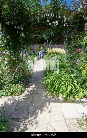 Jardin richement arboré frontières dans le soleil d'été lumineux, England, UK, FR. Banque D'Images