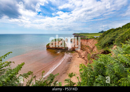 Ladram Bay Hern, Rock, entre Budleigh Salterton et Sidmouth, l'est du Devon, Royaume-Uni. Banque D'Images