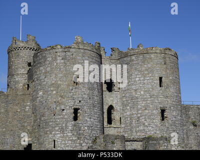 Château de Harlech Wales street et détail Banque D'Images