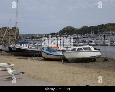 Bateaux recelait de Conwy de Barmouth et dans le Nord du Pays de Galles, certains se sont échouées Banque D'Images