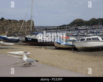 Bateaux recelait de Conwy de Barmouth et dans le Nord du Pays de Galles, certains se sont échouées Banque D'Images