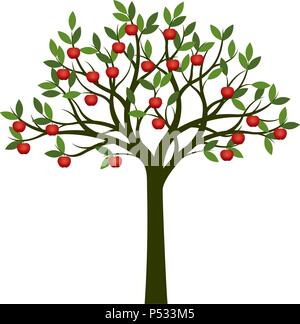 Apple Tree à la pomme fruits. Vector Illustration. Illustration de Vecteur