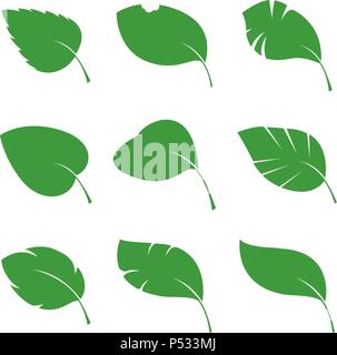 Ensemble de feuilles vert divers. Vector Illustration. Vector Illustration. Plante dans le jardin. Illustration de Vecteur