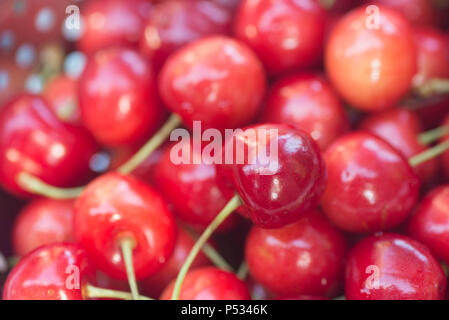 Bird cherry de baies dans une passoire closeup Banque D'Images