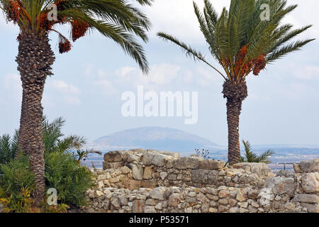 Megido national monument, vallée de Jezreel dans l'ouest de la Galilée en Israël. Banque D'Images