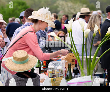 Les plaines, Virginie/USA-5-19-17 : femme porte chapeau à la mode à un hayon partie du Virginia Gold Cup. Banque D'Images