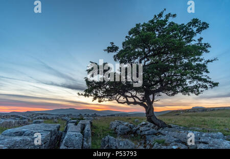 Post-incroyable coucher du soleil la lumière à l'étonnante Winskill pierres dans le Yorkshire Dales National Park Banque D'Images