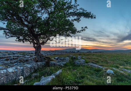 Post-incroyable coucher du soleil la lumière à l'étonnante Winskill pierres dans le Yorkshire Dales National Park Banque D'Images