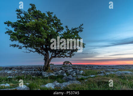 Post-incroyable coucher du soleil la lumière à l'étonnante Winskill pierres dans le Yorkshire Dales National Park Banque D'Images