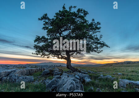 Post-incroyable coucher du soleil la lumière à l'étonnante Winskill pierres dans le Yorkshire Dales National Park Banque D'Images