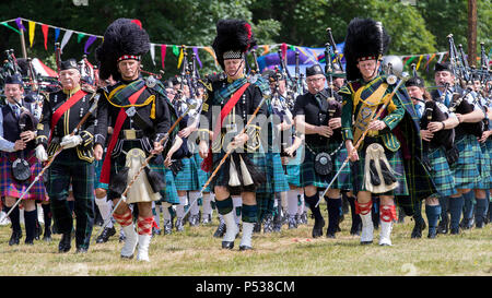 Jeux Drumtochty, Écosse : Le 23 juin, 2018. Drum Majors menant les pipers massés dans un Pipe Band au cours de l'événement Jeux des Highlands. Banque D'Images