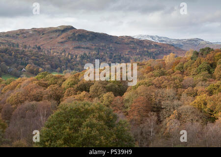 De superbes couleurs d'automne à Grasmere dans le Lake District, en Angleterre Banque D'Images