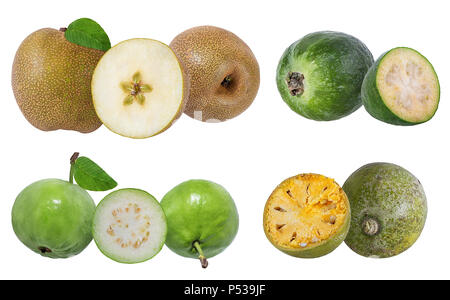 Collection de fruits exotiques isolé sur fond blanc Banque D'Images