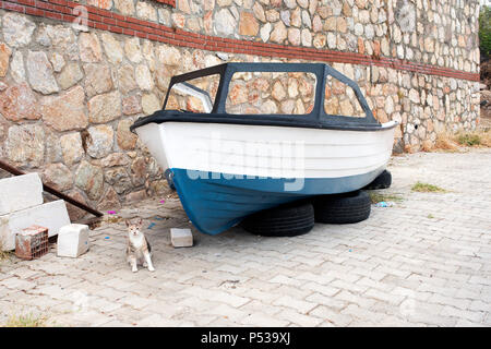 Un bateau de pêche sur la voiture roues et un chat dans la rue la rue à Bodrum, Turquie Banque D'Images