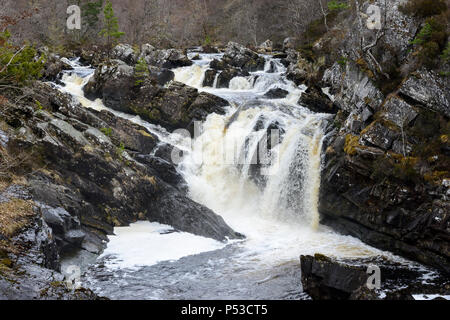 Rogie tombe une série de cascades de la rivière d'eau noire à Ross-shire dans les Highlands d'Ecosse Banque D'Images