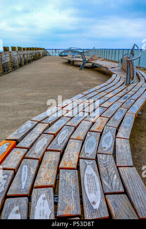 Banc de la communauté sur la jetée appelé le point de démarrage schoal a atterri à Seaford, East Sussex, UK, un long banc incurvé en forme de poisson avec la mer Banque D'Images