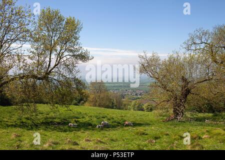 Sur Cotswolds Rural Willersey, Gloucestershire, en Angleterre. Banque D'Images