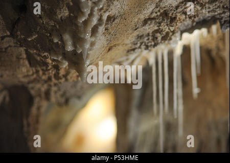 8 avril 2015 - Vallon Pont d'Arc, France : Visite du Pont dÕArc Cavern, une véritable réplique de la grotte Chauvet, qui comprend plusieurs dizaines d'œuvres et des peintures faites par les humains de l'âge de pierre il y a environ 36 000 ans. La Caverne du Pont d'Arc est la replique en taille reelle de la grotte Chauvet, un site réputé de l'UNESCO pour ses impressionnants dessins prehistoriques. Banque D'Images