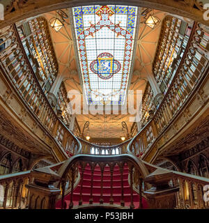 Célèbre Librairie Lello, interieur, escaliers, plafond, Porto Portugal Banque D'Images