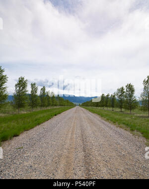 Un milieu rural, de gravier, d'arbres à feuilles caduques de chaque côté de la route, les montagnes en arrière-plan et un ciel couvert ci-dessus. Banque D'Images