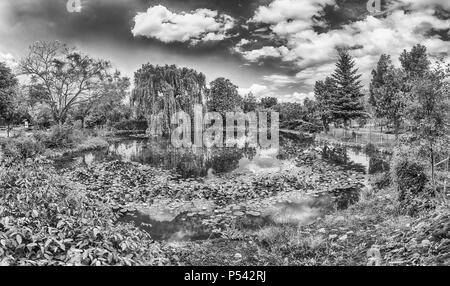 Idillic petit étang dans la forêt avec de belles réflexions Banque D'Images