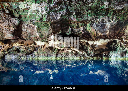 Amazing salt lake dans la grotte de Jameos del Agua, Lanzarote, îles Canaries, Espagne. Arrière-plan de la nature. Destination de voyage Banque D'Images