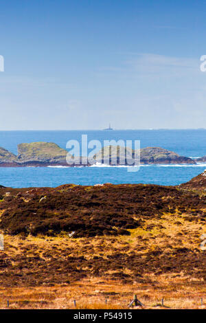 Pause dans la mer de corail où le célèbre Dubh Artach se dresse le phare, 14 kilomètres de l'île d'Iona Hébrides, Argyll and Bute, Ecosse, Royaume-Uni Banque D'Images