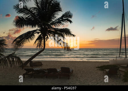 Lever du soleil à Tulum avec la mer des Caraïbes, Palm tree silhouette et transats Banque D'Images