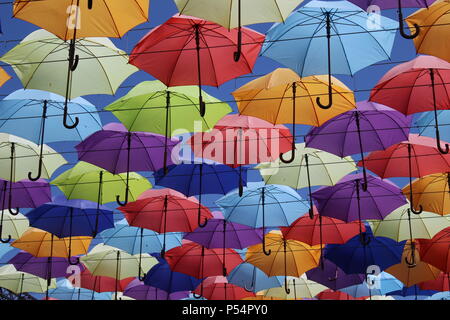 Parapluies Banque D'Images