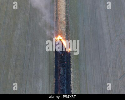 La combustion de l'herbe sèche le long du canal d'irrigation. La fumée et la flamme de l'herbe sèche. Brûlé de l'herbe sèche. Banque D'Images