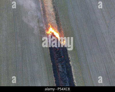 La combustion de l'herbe sèche le long du canal d'irrigation. La fumée et la flamme de l'herbe sèche. Brûlé de l'herbe sèche. Banque D'Images