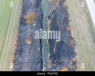 Canal d'irrigation avec des roseaux le long de la rive. Des cendres dans l'herbe. Banque D'Images