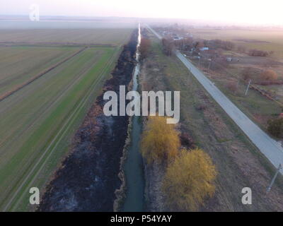 Canal d'irrigation avec des roseaux le long de la rive. Des cendres dans l'herbe. Banque D'Images