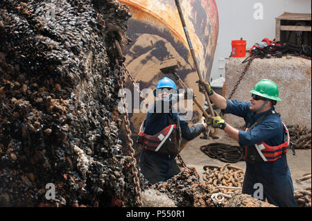 Chêne de l'équipage de la Garde côtière, le Marin Matthieu Perez et matelot-chef Joseph Alire gratter les moules et les proliférations marines au large de la bouée, le mercredi 10 mai 2017, au large de la côte du Massachusetts. Garde-côte de chêne est un baliseur de 67 mètres homeported à Newport, Rhode Island. Banque D'Images
