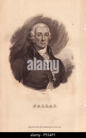 Peter Simon Pallas (1741-1811), zoologiste et botaniste allemand.. . Portrait gravé sur acier par W.H. Lizars, de Sir William Jardine's "La Bibliothèque du naturaliste" 1833, Édimbourg. Banque D'Images