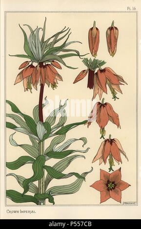 Illustration botanique de la couronne impériale fleurs, Fritillaria imperialis. Lithographie de Verneuil avec pochoir (stencil) handcoloring de Eugène Grasset's "Plantes et leur application à l'Ornement," Paris, 1897. Grasset (1841-1917) était un artiste suisse dont les conceptions innovantes ont inspiré le mouvement "art nouveau" à la fin du 19ème siècle. Banque D'Images