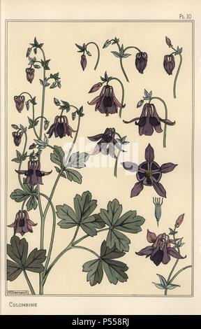 L'ancolie, Aquilegia vulgaris, pièces florales. Lithographie de Verneuil avec pochoir (stencil) handcoloring de Eugène Grasset's "Plantes et leur application à l'Ornement," Paris, 1897. Grasset (1841-1917) était un artiste suisse dont les conceptions innovantes ont inspiré le mouvement "art nouveau" à la fin du 19ème siècle. Banque D'Images