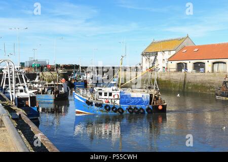 Pittenweem, Fife, Scotland, UK - 25 juin 2018 : France - Météo matin bleu ciel de Pittenweem harbour comme pêcheurs revenir avec leurs prises. Pittenweem est le plus actif des ports de pêche dans l'Est de la côte de Fife Neuk. Credit : Kay Roxby/Alamy Live News Banque D'Images