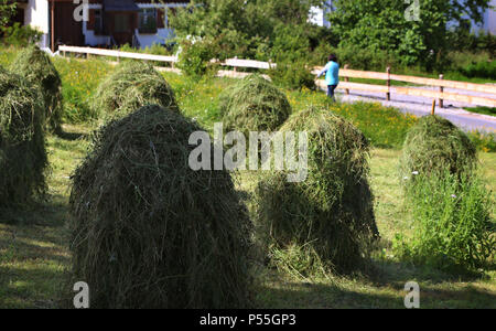 Oy, Withtelberg Deutschland. 23 Juin, 2018. 23.06.2018, la Bavière, Oy-withtelberg fraîchement tondu : herbe est mis en place pour le séchage en face d'un torréfacteur de café dans le district de Oy. (Dpa-KORR : 'la bouse de vache, de café, des herbes : Comment un parfum veut attirer les touristes' à partir de 24.06.2018) Crédit : Karl-Josef Opim/dpa | dans le monde d'utilisation/dpa/Alamy Live News Banque D'Images