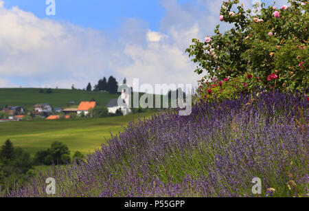 Oy, Withtelberg Deutschland. 22 Juin, 2018. 22.06.2018, la Bavière, Oy-withtelberg withtelberg : Le quartier est derrière la rose et un jardin de fines herbes d'une manufacture de produits cosmétiques naturels et des huiles essentielles pour voir (dpa-KORR : 'la bouse de vache, de café, des herbes : Comment un parfum veut attirer les touristes' à partir de 24.06.2018) Crédit : Karl-Josef Opim/dpa | dans le monde d'utilisation/dpa/Alamy Live News Banque D'Images