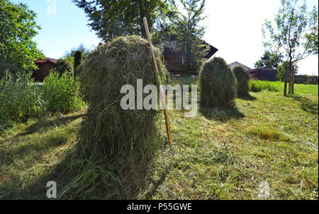 Oy, Withtelberg Deutschland. 23 Juin, 2018. 23.06.2018, la Bavière, Oy-withtelberg fraîchement tondu : herbe est mis en place pour le séchage en face d'un torréfacteur de café dans le district de Oy. (Dpa-KORR : 'la bouse de vache, de café, des herbes : Comment un parfum veut attirer les touristes' à partir de 24.06.2018) Crédit : Karl-Josef Opim/dpa | dans le monde d'utilisation/dpa/Alamy Live News Banque D'Images