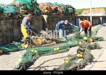Pittenweem, Fife, Scotland, UK - 25 juin 2018 : Météo France - les pêcheurs la sensation de chaleur qu'ils ont rapidement inspecter les dommages causés à un grand filet avant de débarquer leurs prises au cours de la chaleur de la journée au port de Pittenweem. Pittenweem est le plus actif des ports de pêche dans l'Est de la côte de Fife NeUK. Credit : Kay Roxby/Alamy Live News Banque D'Images