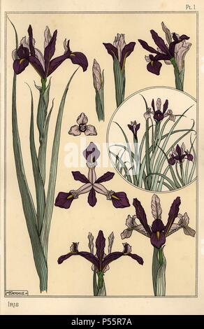 Usine Iris et pièces florales, avec encart.. Lithographie de Verneuil avec pochoir (stencil) handcoloring de Eugène Grasset's "Plantes et leur application à l'Ornement," Paris, 1897. Eugène Grasset (1841-1917) était un artiste suisse dont les conceptions innovantes ont inspiré le mouvement "art nouveau" à la fin du 19ème siècle. Banque D'Images