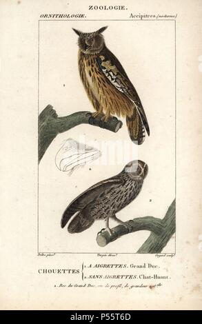 Grand-d'Amérique, Bubo bubo, et Chouette hulotte, Strix Aluco enr. Gravure sur cuivre coloriée à crépi de Dumont de Sainte-Croix's 'Dictionary of Natural Science : ornithologie,' Paris, France, 1816-1830. Illustration par J. G. Pretre, gravée par Guyard, réalisé par Pierre Jean François Turpin, et publié par F.G. Levrault. Jean Gabriel Pretre (17801845) était peintre d'histoire naturelle à l'Impératrice Joséphine's zoo et plus tard est devenu artiste pour le Musée d'Histoire Naturelle. Turpin (1775-1840) est considéré comme l'un des plus grands illustrateurs botaniques français du 19e siècle. Banque D'Images