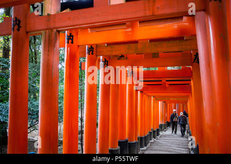 Portes Torii de Fushimi Inari-Taisha,sanctuaire à Kyoto, Japon Banque D'Images