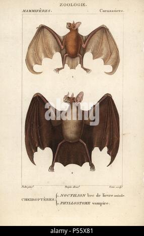 Une plus grande chauve-souris bouledogue ou pêcheur Noctilio leporinus, chauve-souris, et une plus grande lance-nosed bat, Phyllostomus hastatus. Gravure sur cuivre coloriée à crépi de Frédéric Cuvier's 'Dictionary of Natural Science : Mammifères,' Paris, France, 1816. Illustration par J. G. Pretre, gravé par Victor, réalisé par Pierre Jean François Turpin, et publié par F.G. Levrault. Jean Gabriel Pretre (17801845) était peintre d'histoire naturelle à l'Impératrice Joséphine's zoo et plus tard est devenu artiste pour le Musée d'Histoire Naturelle. Turpin (1775-1840) est considéré comme l'un des plus grands illustrateurs de la botanique Française Banque D'Images