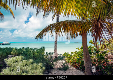 Vue sur l'eau turquoise de la mer des Caraïbes Banque D'Images