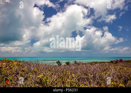 Vue sur l'eau turquoise de la mer des Caraïbes Banque D'Images