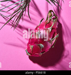 Pitaya rose juteux sur fond rose avec des feuilles de palmier et d'ombre Banque D'Images